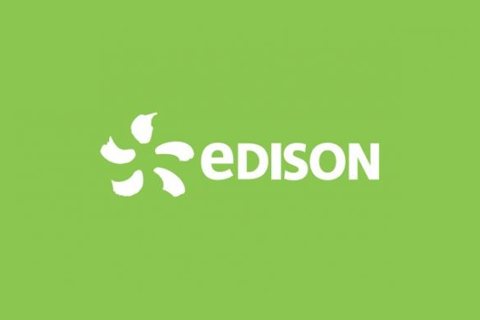 EDISON_logo copia EDISON_logo copia